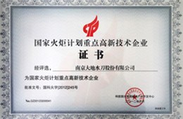 火炬高新技术企业